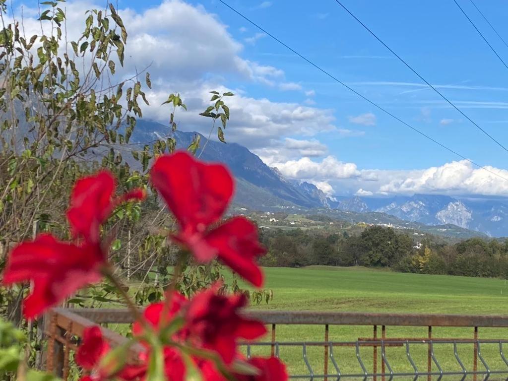 Il Mondo Roverso Feltre Exterior foto